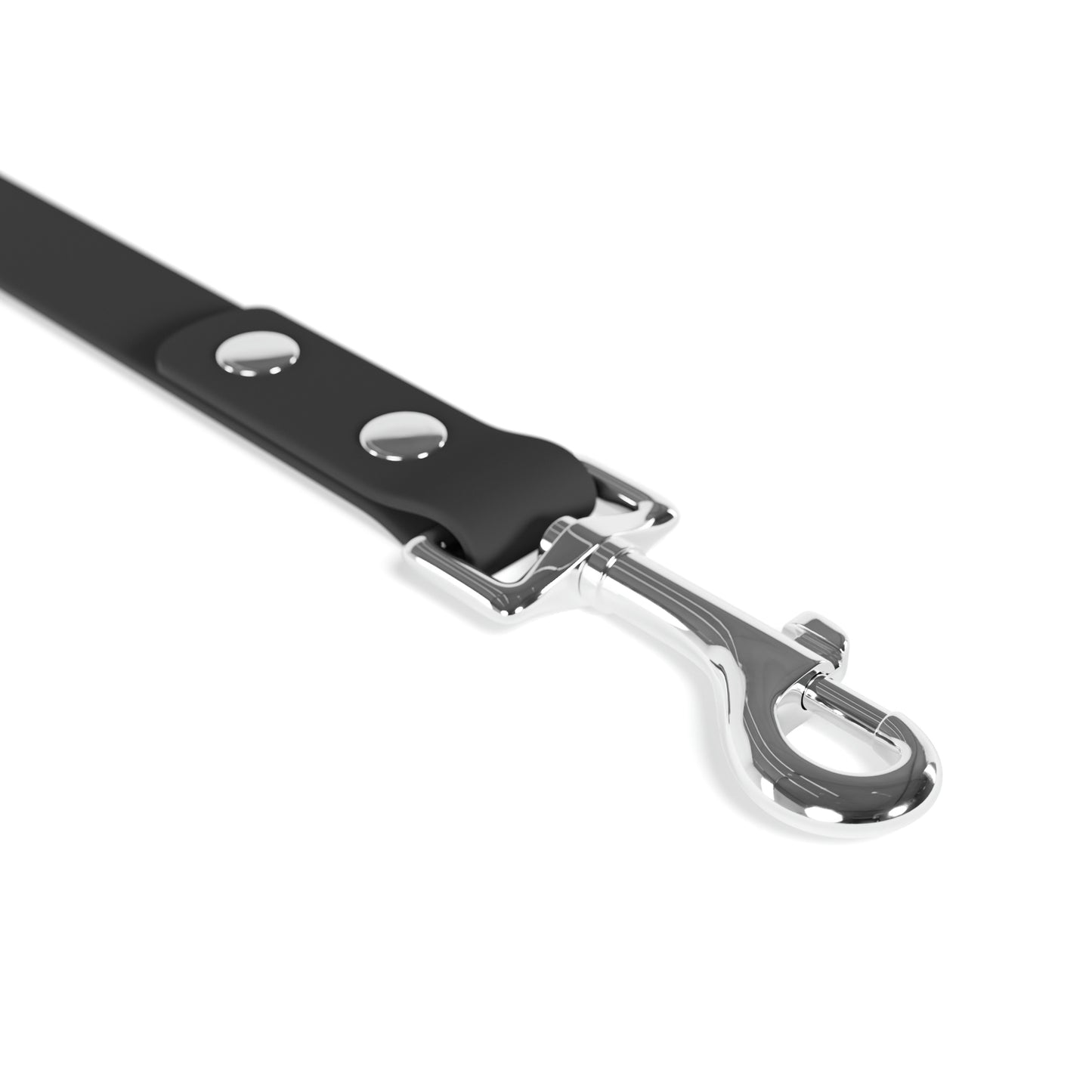 Leash-Black and White