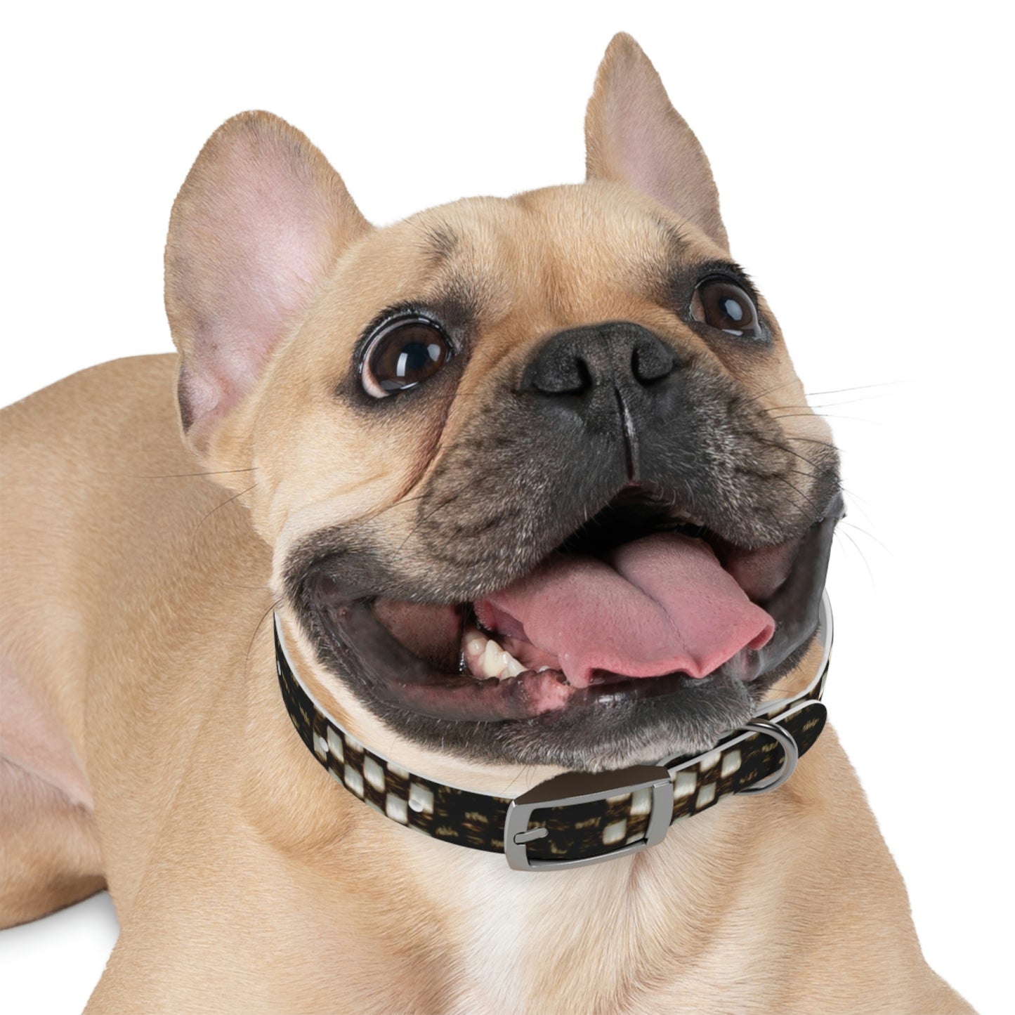 Dog Collar-Black and White